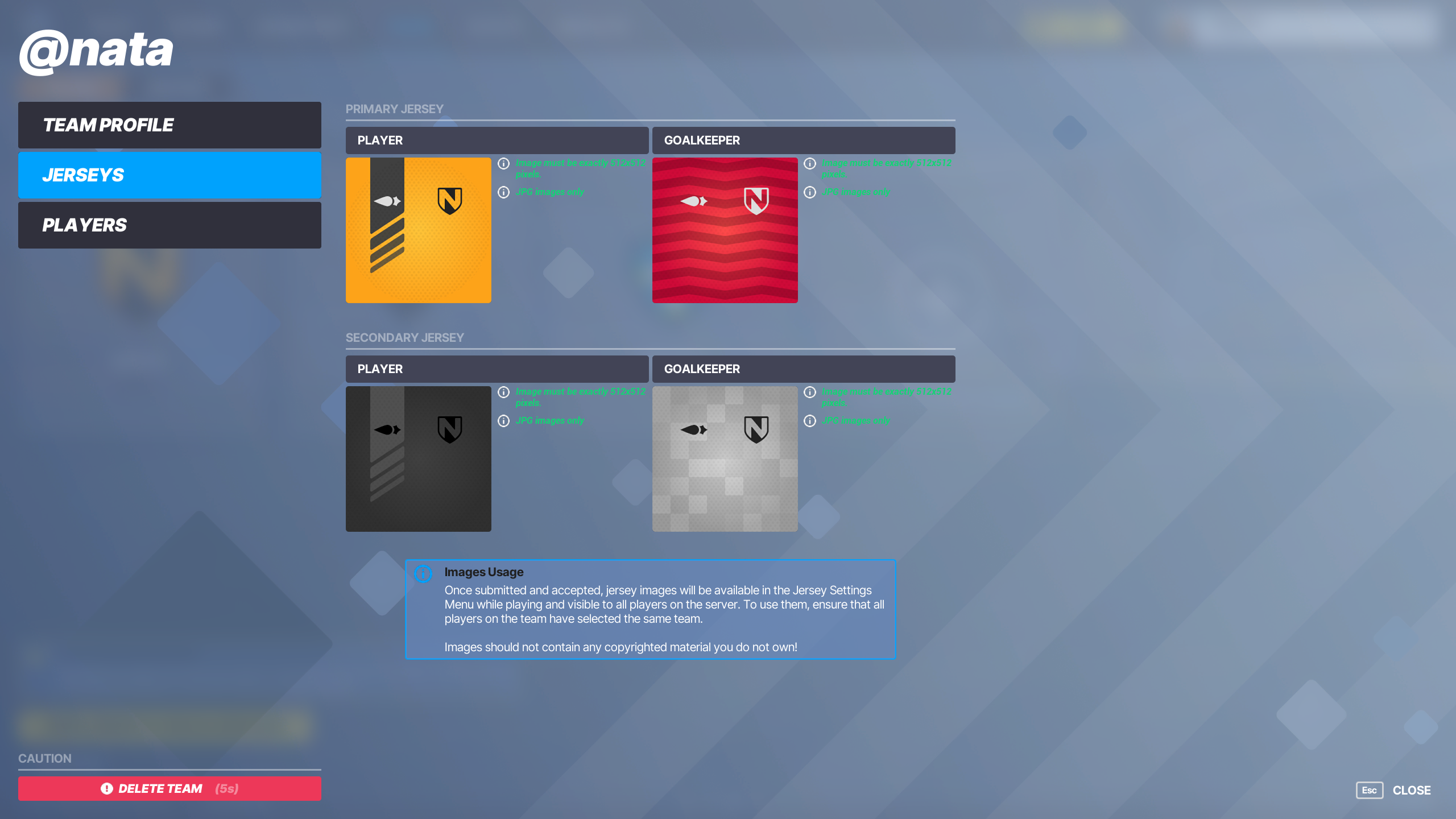 World of Football custom team colors